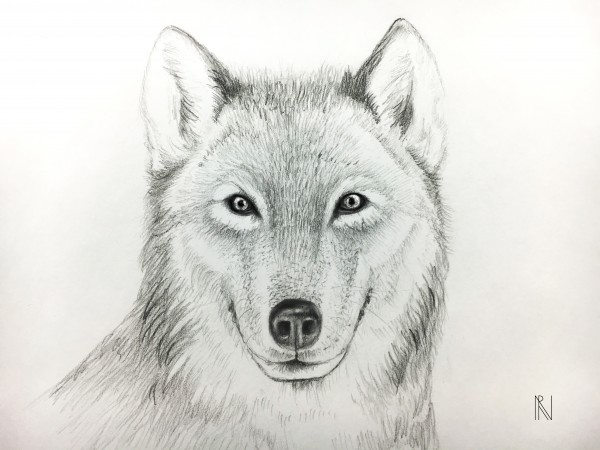Wolf Print