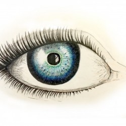 Eye