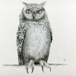 Qwl