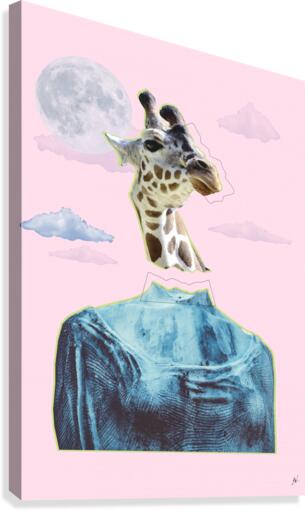 Middle Age Giraffe Canvas Print