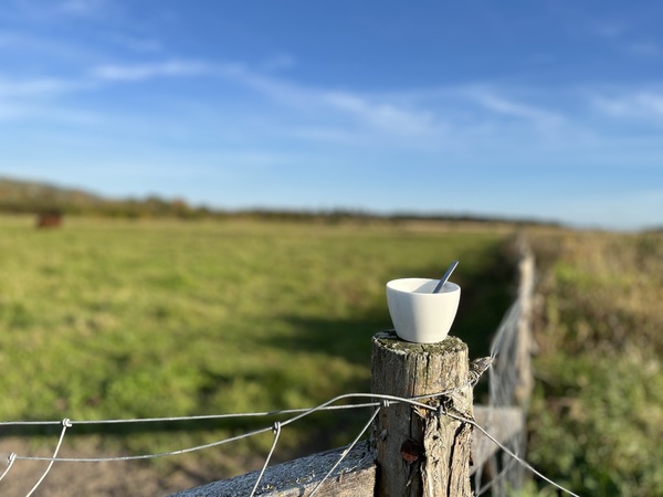 Tasse dete  - Summer cup by 1GO