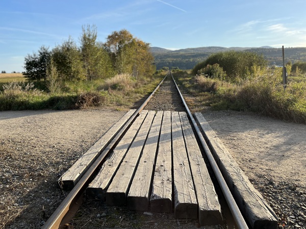 On track Sur la track  by 1GO