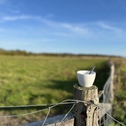 Tasse dete  - Summer cup