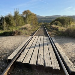 On track Sur la track 