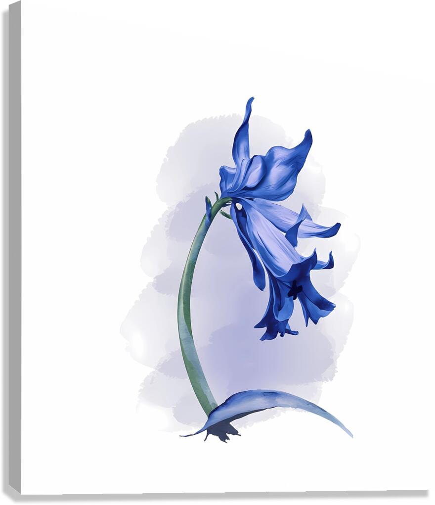 Bluebell Canvas Print