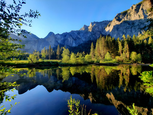 Yosemite Morning
