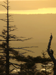 Golden Sunrise