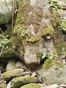 Faces Of The Smokies 1