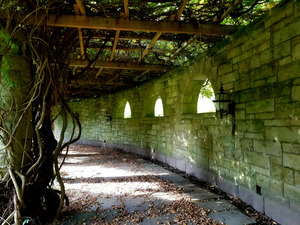 Mt Assisi Garden 1