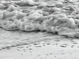 Surf