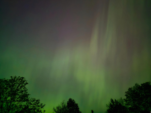 Aurora 1