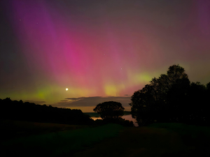 Aurora 12