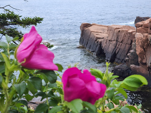 Acadia Point
