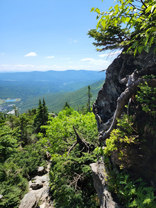 White Mountains 4
