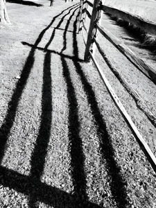 Split Rail Shadows