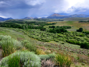 Sierra Nevada
