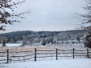 Laurel Ridge