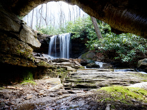 Cole Run Falls