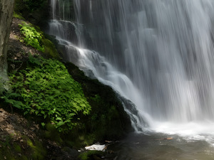 Bushkill Falls