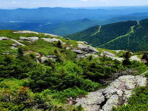White Mountains