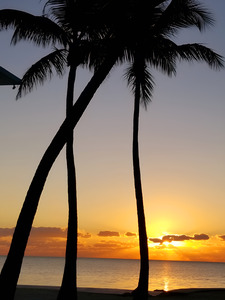 Florida Keys Sunrise & Palms 1