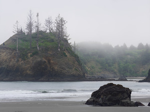 Pacific Coast Mist