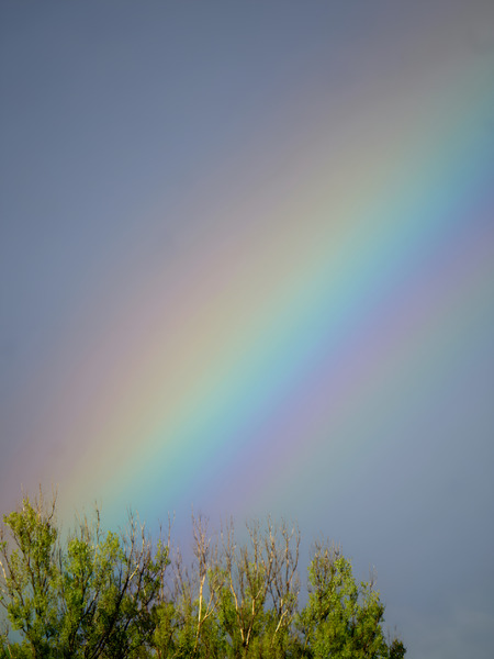 Rainbow Print