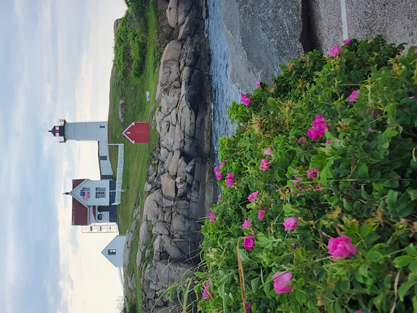 Lighthouse Print