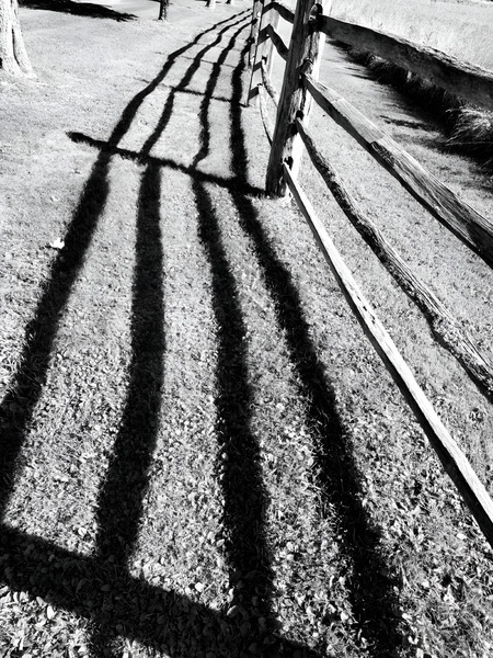 Split Rail Shadows  Print