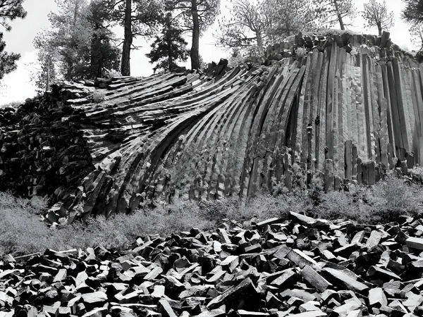 Devils Postpile National Monument  Print