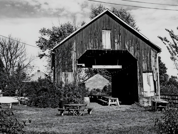 Maryland Barn  Print