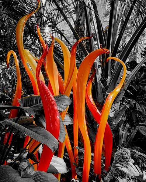 Glass Sculpture  Print
