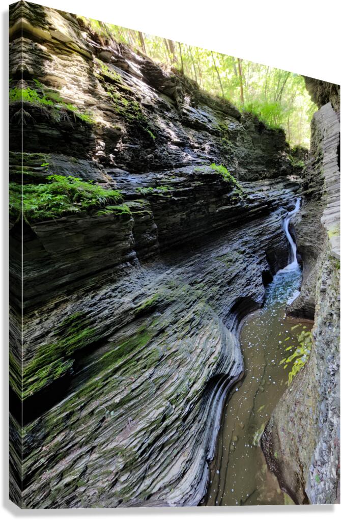 Watkins Glen State Park 2 Canvas Print