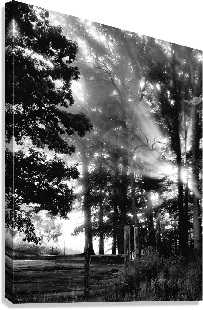 Misty Morning Rays  Canvas Print