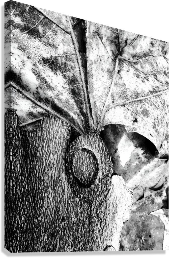 Botanical Shapes  Canvas Print