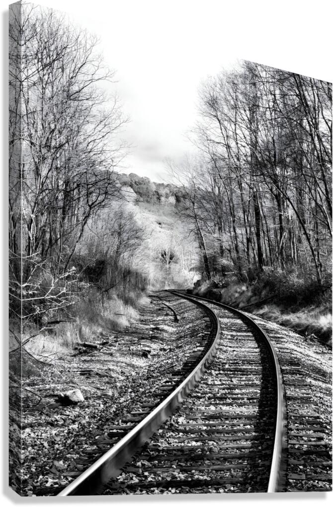 Railroad  Canvas Print