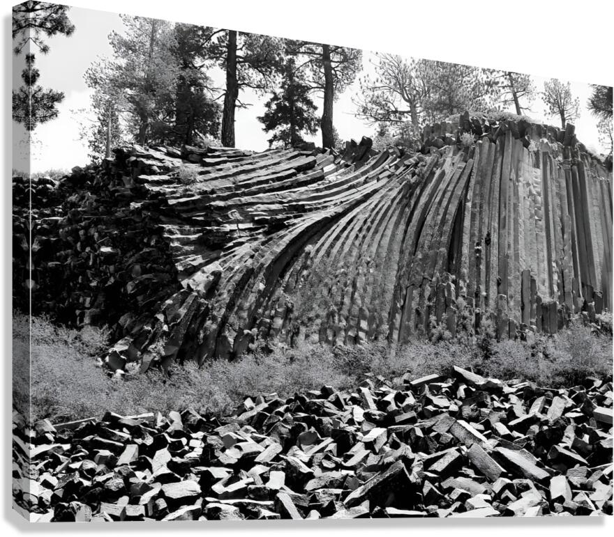 Devils Postpile National Monument  Canvas Print