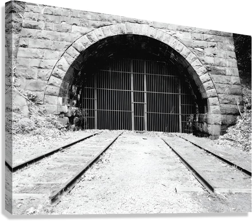 Railroad Tunnel  Canvas Print