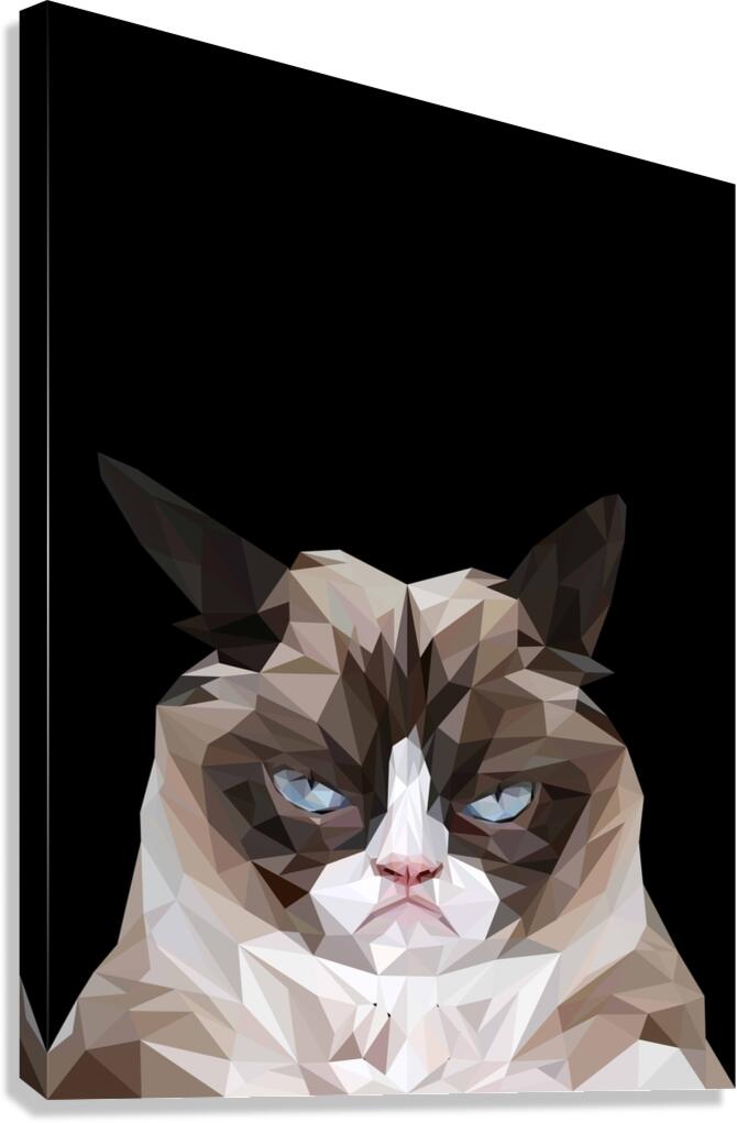 grumpy cat meme Canvas Print
