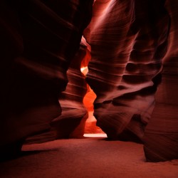 Major Photography 2
