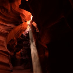 Major Photography 1