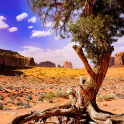 Major Photography 2