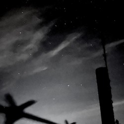 Starlight 1