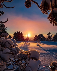 hdoaa.com D8 B5 D9 88 D8 B1 D8 AC D9 85 D9 8A D9