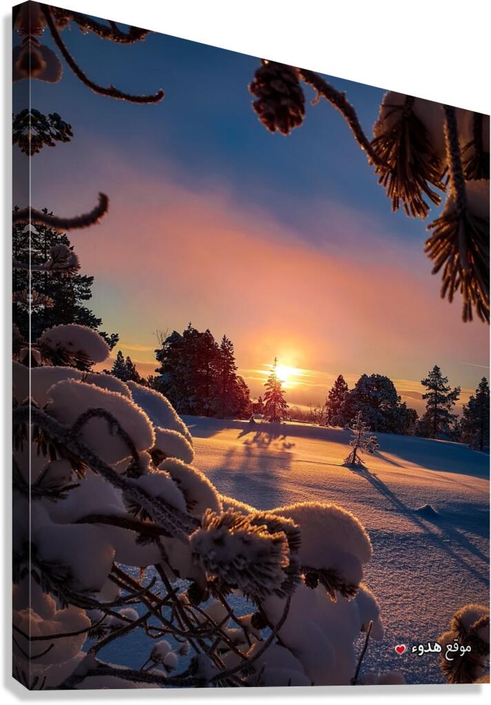 hdoaa.com D8 B5 D9 88 D8 B1 D8 AC D9 85 D9 8A D9 Canvas Print