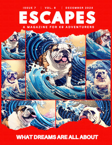 Adventure Magazine Cover with Surfing English Bulldog Poster-Red