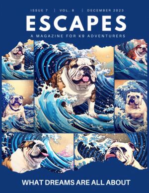 Adventure Magazine Cover with Surfing English Bulldog Poster-Blue