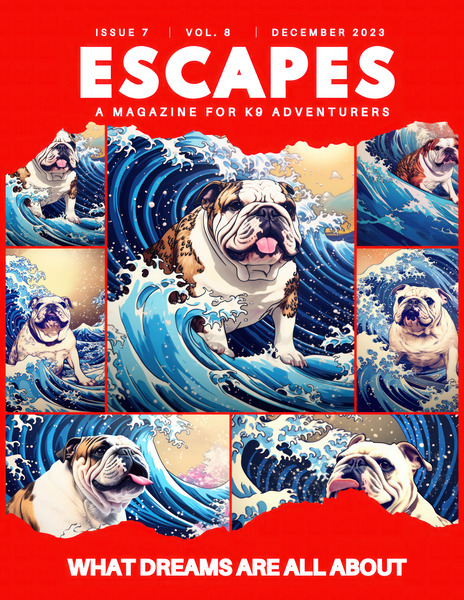 Adventure Magazine Cover with Surfing English Bulldog Poster-Red Print