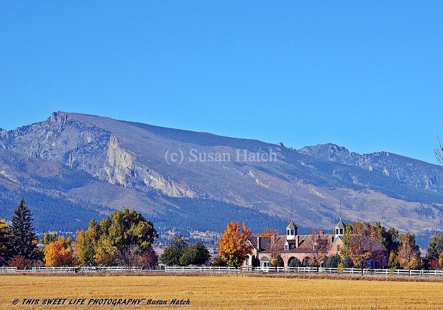 Tammany Hall by Susan Hatch Wall Art