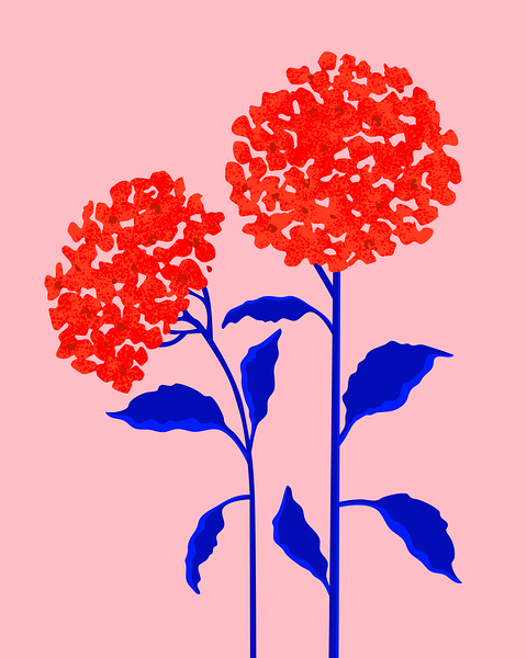 Orange Blossoms Print